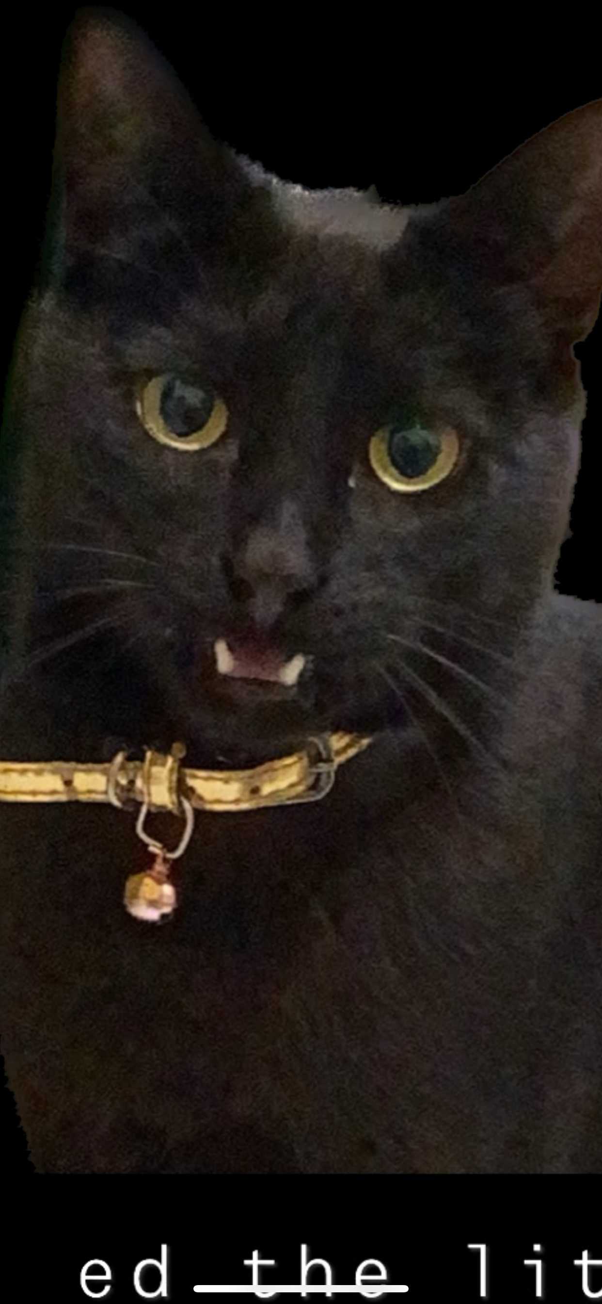 Chloe-emz 's profile photo